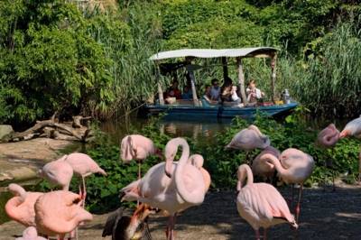 Hanover adventure zoo